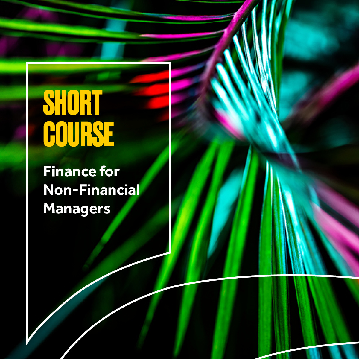 Finance for Non-Financial Managers