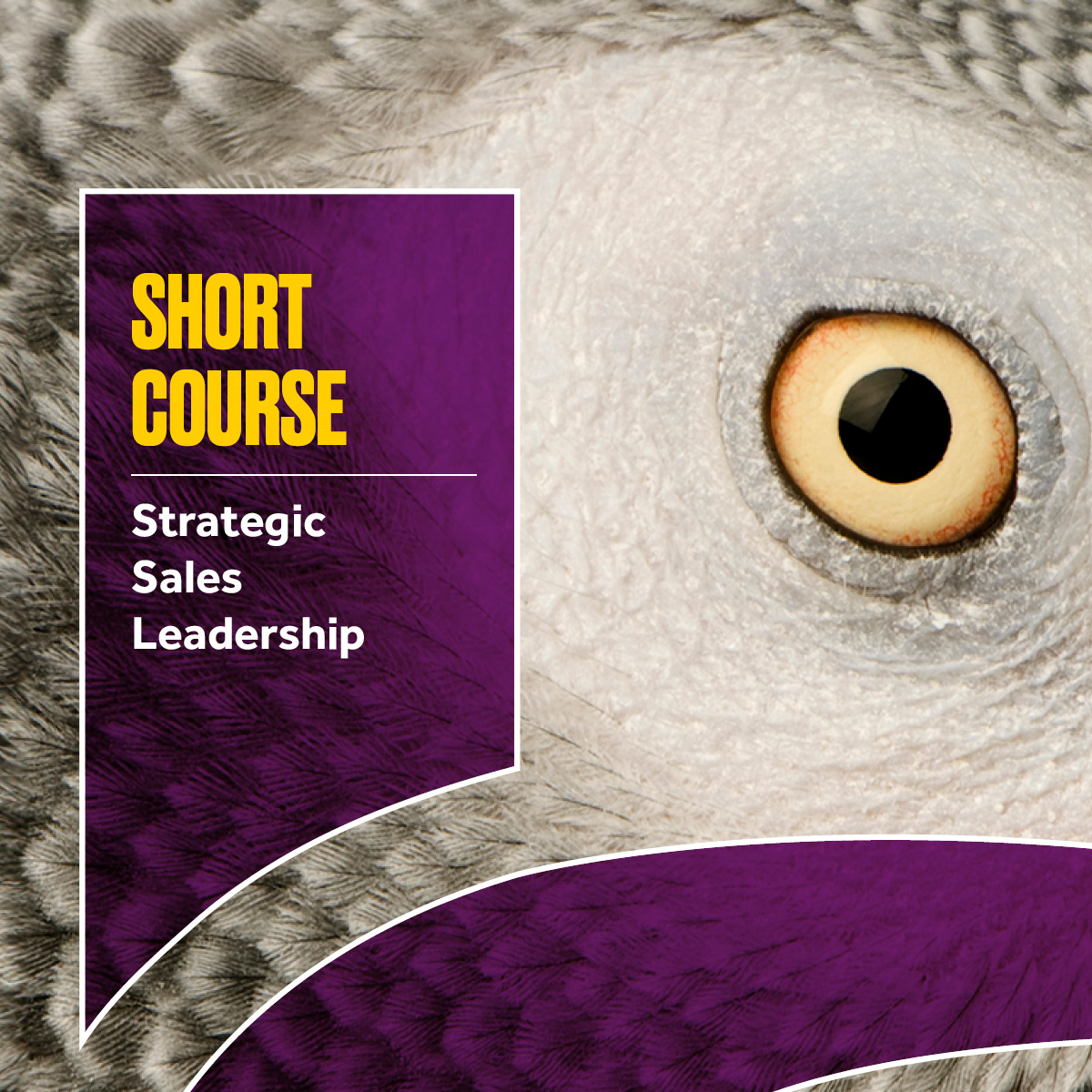 Strategic Sales Leadership