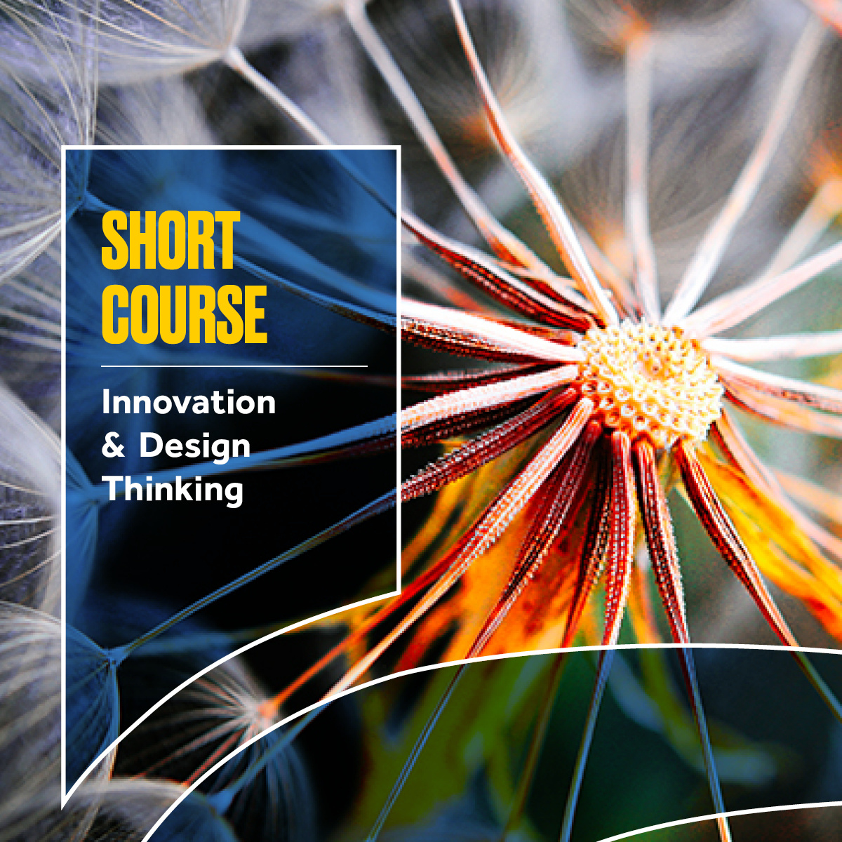 Innovation &  Design Thinking