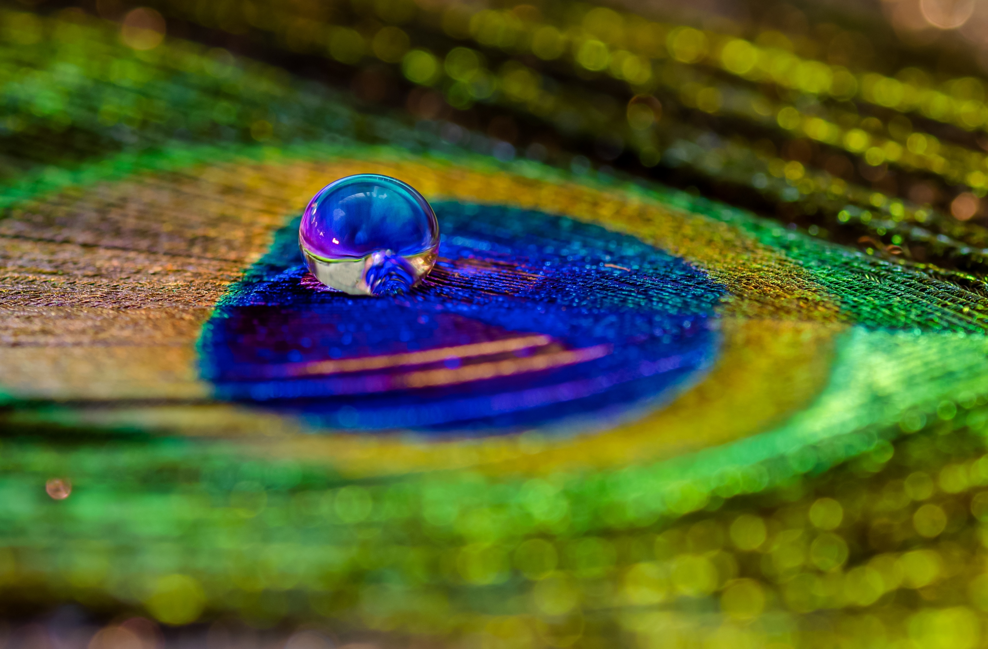 macro-waterdrop-on-a-peacock-feather-natural-bri-2023-11-27-05-22-15-utc